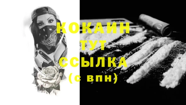 ГАЛЛЮЦИНОГЕННЫЕ ГРИБЫ Гусь-Хрустальный