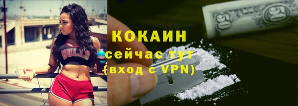 ГАЛЛЮЦИНОГЕННЫЕ ГРИБЫ Гусь-Хрустальный