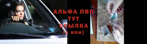 ГАЛЛЮЦИНОГЕННЫЕ ГРИБЫ Гусь-Хрустальный