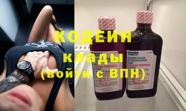 ГАЛЛЮЦИНОГЕННЫЕ ГРИБЫ Гусь-Хрустальный